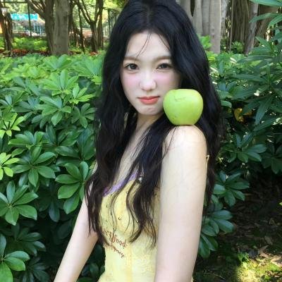 极地一年封面